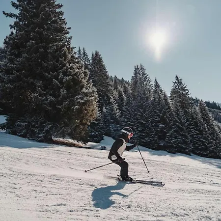 Dağ evi Alpenchalets Zugspitze By Alps